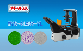 醫(yī)用顯微鏡.png