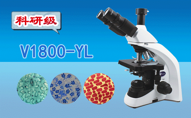 醫(yī)用生物顯微鏡.png